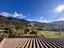 Immagine 24