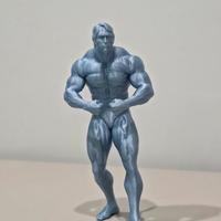 Arnold Schwarzenegger posa trapezio