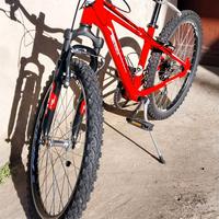 Mountain bike "24 Bottecchia