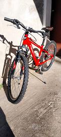 Mountain bike "24 Bottecchia