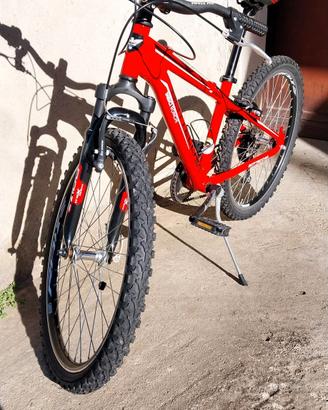 Mountain bike "24 Bottecchia
