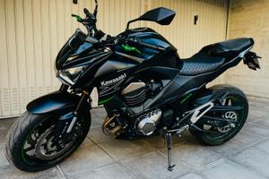 Z 800 Performance Abs