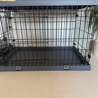 Kennel nuovo