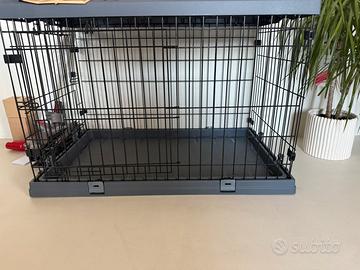 Kennel nuovo