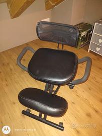 sedia ergonomica 
