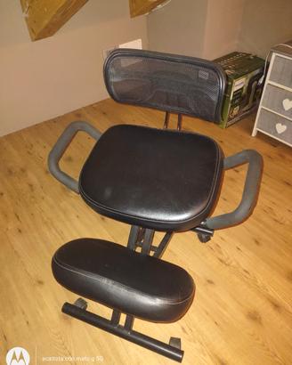 sedia ergonomica 