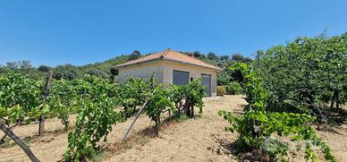 Terreno agricolo 7,5 ettari Castiglione di Sicilia
