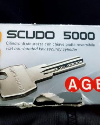cilindro singolo con chiave di sicurezza 