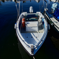 Barca Open Con Motore 40cv 4 tempi