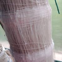 Rotolo rete x fagioli  e rampicanti