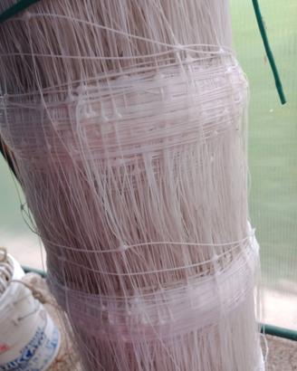 Rotolo rete x fagioli  e rampicanti