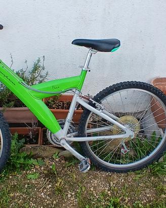 Bicicletta pininfarina