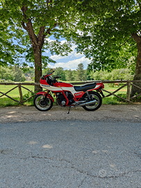 Honda cb 900 F2 bol d or