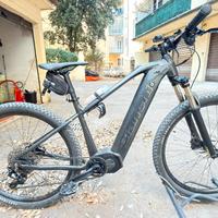 Bici e-bike