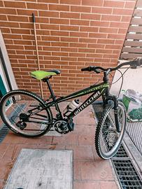 Bottecchia HC9 racing 24