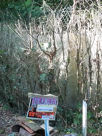 Terreno per vigneto e ricovero attrezzi
