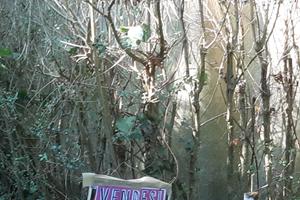 Terreno per vigneto e ricovero attrezzi