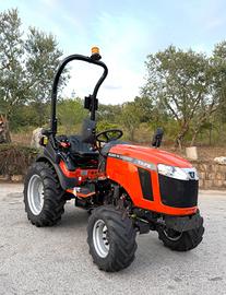 Trattorino TAFE modello 6028 M - PROMO ATTREZZO
