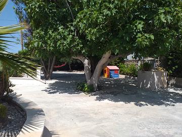 Vacanza a Torre Ovo in LAST MINUTE