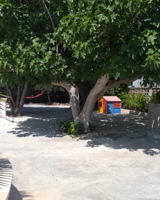 Vacanza a Torre Ovo in LAST MINUTE