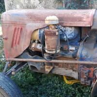 Trattore Same Puledro con targa