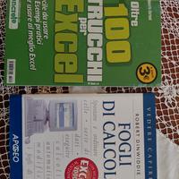 Excel 100  trucchi . Fogli di calcolo