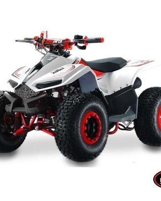 Lem Motor Quad, Grizzly 110cc