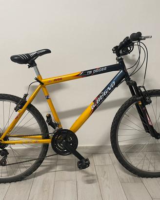 Bicicletta MTB