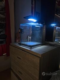 mini acquario