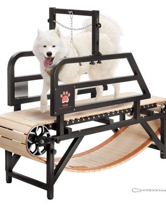 Tapis Roulant Cani Taglia Media Rampe Regolabile