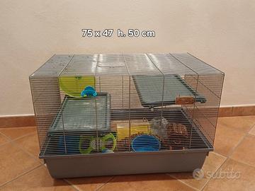 Gabbia criceto grande a piani 75 cm + accessori