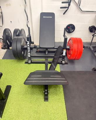 Hiptrust rexgym