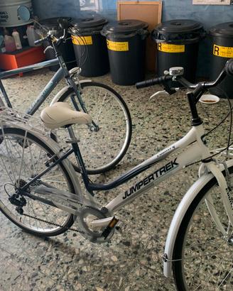Trekking Bike