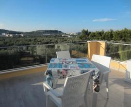 Nuovo Attico su olivi x vacanze in coppia Vieste
