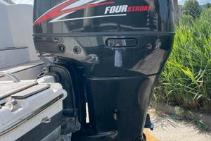 Suzuki 250 DF anno 2006