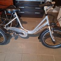 bicicletta grande tre ruote