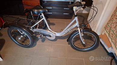 bicicletta grande tre ruote