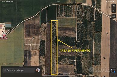 Terreno coltivabile 8900 mq