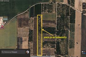 Terreno coltivabile 8900 mq