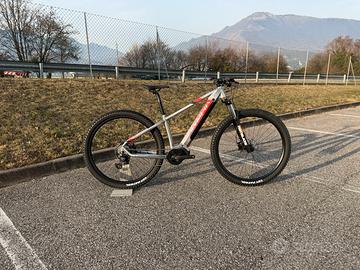 Olympia Master Tg. S in varie colorazioni