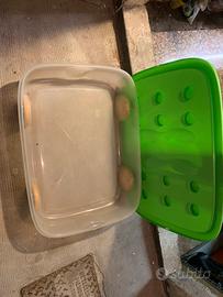 Contenitore con ruote box porta giochi