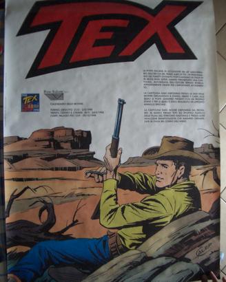 Manifesto Tex