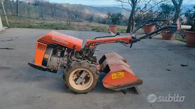 motocoltivatore goldoni con fresa da neve