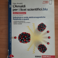 L'Amaldi per i licei scientifici.blu 3