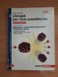 L'Amaldi per i licei scientifici.blu 3