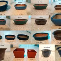 Vasi e sottovasi da bonsai