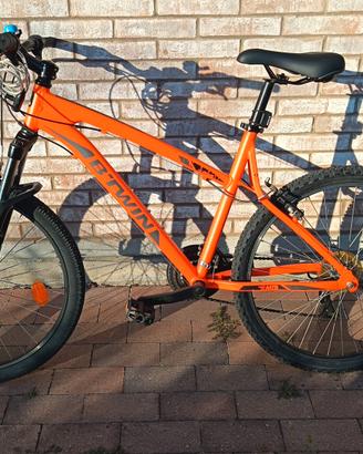  MTB rockraider 340