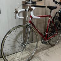 Wilier Triestina