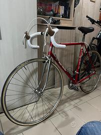 Wilier Triestina