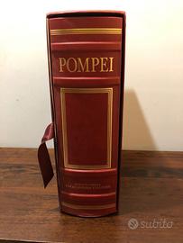 I luighi dell”arte POMPEI TRECCANI